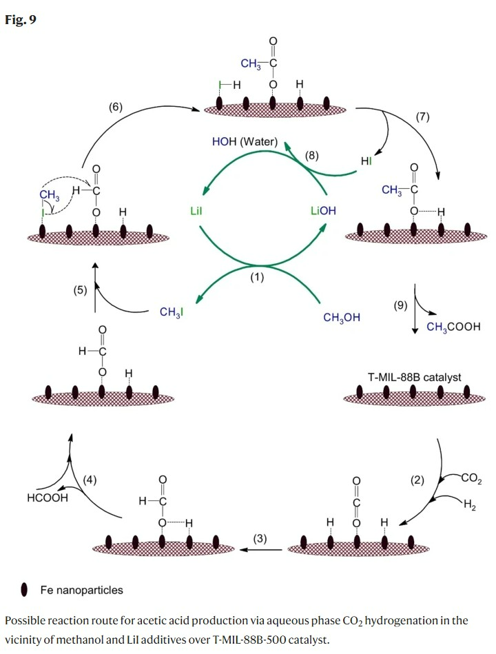 Reaction mechanism for converting carbon dioxide to acetic acid