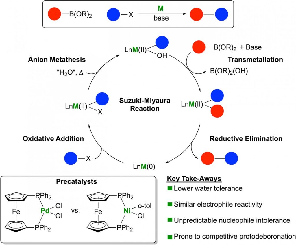 Base metal chemistry and catalysis, Cell Reports Physical Science