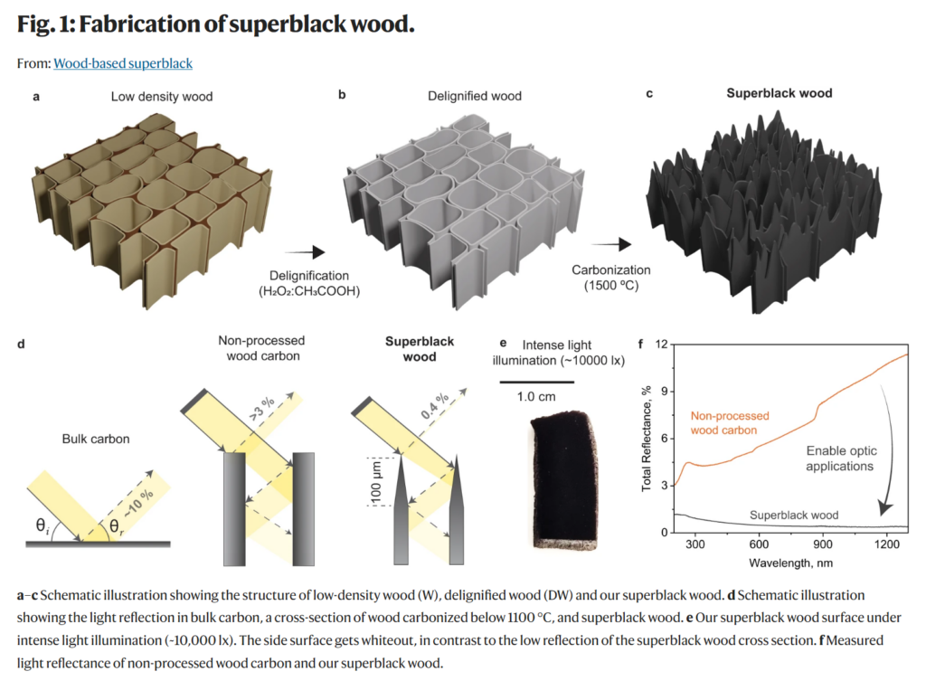 New possibilities through the development of innovative super black materials using wood