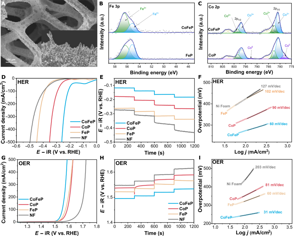 membeulein-i pil-yoeobsneun saeloun sujeonhae bangsig gaebal, SCE (SuperCapacitive Electrolyzer) seuweden-ui yeongujadeul-eun choegeun membeulein-i eobsneun sujeonhaeleul wihan jeonhaejo-e daehan yeonguleul balpyohago hwaseog yeonlyoleul daechehal su issneun jisog ganeunghan suso saengsan-e daehan hyeogsinjeog-in yeongu gyeolgwaleul balpyohaessseubnida. i hyeogsinjeog-in syupeokeopaesitibeu jeonhaejo(SuperCapacitive Electrolyzer, SCE)neun membeulein-i pil-yo eobs-i unjeon-i ganeunghamyeo jigue pungbuhan jaelyoleul sayonghayeo geulin suso saengsan-ui hwagjangseong-gwa biyong jeolgam-e daehan jung-yohan munjeleul haegyeolhabnida. SCEui hoeggijeog-in baljeon-ui haegsim-eun susowa sanso saengsan-eul gong-ganjeog, siganjeog-eulo bunlihayeo jeontongjeog-in sujeonhae bangsig-eul ttwieoneom-eo anjeonseong-gwa hyoyulseong-eul hyangsangsikyeossseubnida. ijung gineungseong chogmaewa sel choejeoghwaleul tonghae yeongujin-eun silje jeonlyu mildo-eseo 69%laneun insangjeog-in eneoji hyoyul-eul dalseonghaessseubnida. * U.S. Department of Energy(DoE), PEM Water Electrolysis efficiency target: 69% (LHV)​SCEneun du gaeui dong-ilhan sello jagdonghayeo jisogjeog-in suso saengsan-eul ganeunghabnida. i siseutem-eul tonghae byeoldoui chaembeoeseo suso balsaeng ban-eung(HER)gwa sanso balsaeng ban-eung(OER)eul wihan ijung gineung jeongeug-eul hwal-yonghayeo susowa sansoui saengsan-eul byeoldoui dangyelo bunlihal su iss-eumyeo ileohan bunlineun syupeo keopaesiteo jeojang mekeonijeum-eul mobanghan bojo jeongeug-ui chungjeon mich bangjeon-eul tonghae chogjindoeneun membeulein-ui pil-yoseong-eul jegeohaessseubnida. geuligo SCR sujeonhae siseutem-eul chuga geomjeung-eul hagi wihae HERwa OER modue daehan hwalseong-i nop-eun jeongi chogmaega pil-yohabnida. jeongi chogmaeleul wihae yeongudoen dayanghan chogmae jung-eseo jeon-igeumsog giban inhwamul, teughi inhwakobalteucheol(CoFeP)eun nop-eun hwalseong-gwa anjeongseong-eul jalanghabnida. suso balsaeng ban-eung(HER)gwa sanso balsaeng ban-eung(OER)eul modu gasoghwahal su issneun ijung gineung chogmaeneun sujeonhae siseutem-ui hyoyulseong-e maeu jung-yohabnida. CoFePneun Ni Foam-e jeongjeonlyu jeonchag bangbeob-eul tonghae habseongdoen alkalli jogeon-eseo nop-eun hwalseong-gwa anjeongseong-eulo inhae dudeuleojibnida. i gongjeong-eul tonghae gyun-ilhago jomilhan CoFeP cheung-i saengseongdoemyeo ineun chogmae gongjeong-e doum-i doebnida. alkalliseong maejil-eseo seonhyeong seuwib jeon-abjeonlyubeob(Linear Sweep Voltammetry, LSV)eul tonghae pyeong-gadoen CoFePui jeongihwahagjeog seongneung-eun dan-il geumsog inhwamul-e bihae suso balsaeng ban-eung-gwa sanso balsaeng ban-eung modue daehae usuhan hwalseong-eul boyeojubnida. i seongneung-eun Fe wonja-e uihan Co hwalseong saiteu jubyeon-ui jeonja gujo byeonjo-e giinhabnida. geuligo sing-geul sel(Single Cell) pyeong-galeul tonghae SCE siseutem-eun choedae 99%ui paeleodei hyoyul-eul dalseonghayeo hyoyuljeog-in ban-eung jeonhwan-eul ibjeunghaessseubnida. ijung gineungseong chogmae(CoFeP)leul sayonghan silheom-eseo jeonche sujeonhaee daehae eod-eun eneoji sobineun munheon-e bogodoen gwigeumsog giban chogmae mich jeon-i geumsog giban chogmaewa biseushan sel jeon-ab mich hyoyul gabs-eul boyeojubnida. ibeon yeonguleul tong pungbuhago biyong-i naj-eun jaelyoleul hwal-yonghayeo membeulein-i eobsneun sujeonhae siseutem-ui ganeungseong-eul boassseubnida. geuligo sanseong mich alkalliseong jogeon modueseo ganeunghan unjeon-eun dayanghan eung-yong bun-ya-e daehan jeog-eungseong-gwa jamjaelyeog-i iss-eum-eul hwag-inhaessseubnida. SCEui gaebal-eun jisog ganeunghago hyoyuljeog-in suso saengsan-eul hyanghan tamgueseo jung-yohan jinjeon-eul uimihabnida. yeonguwondeul-eun SCEui sang-eobjeog-in seong-gong ganeungseong-eul hyangsangsikineun geos-eul mogpyolo haneun yeonguleul chujinhal yejeong-imyeo gaeseon-e pil-yohan jamjaejeog bubun, jeongeug-ui yonglyangseong jeojang yonglyang-eul neulligo jeongeug jeondodoleul choejeoghwahayeo jeohang-eul jul-ineun geos-e nolyeoghal geos-ibnida. ileul tonghae eneoji hyoyulseong-eul deoug hyangsangsikigo un-yeong biyong-eul jul-il su geos-eulo yesanghabnida.
자세히
1,812 / 5,000
번역 결과
번역 결과
Development of a new water electrolysis method that does not require a membrane, SCE (SuperCapacitive Electrolyzer)