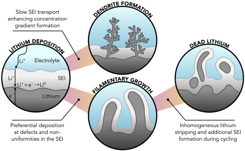 Influence of the solid electrolyte interphase on lithium deposition morphology