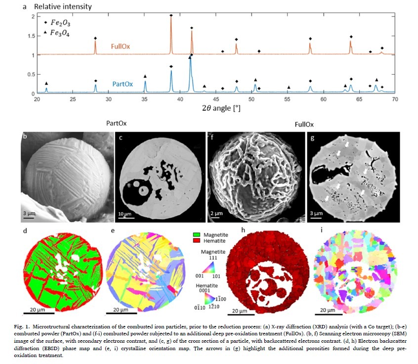 Hydrogen Direct Reduction of Iron