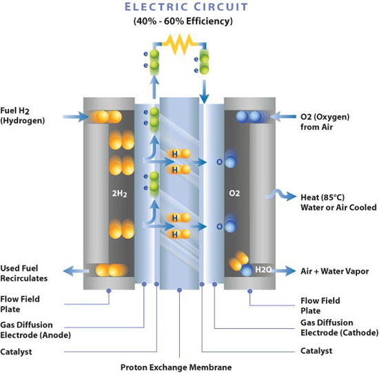 PEMFC and Membrane Electrode Assembly MEA 2